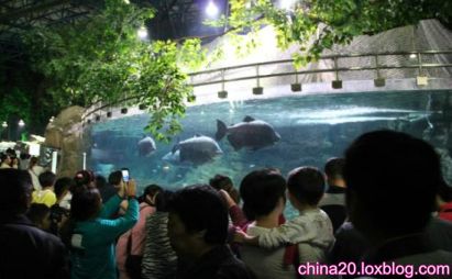 عکس های زیبا از آکواریم هایانگ گان پکن- Haiyangguan Aquarium beijing